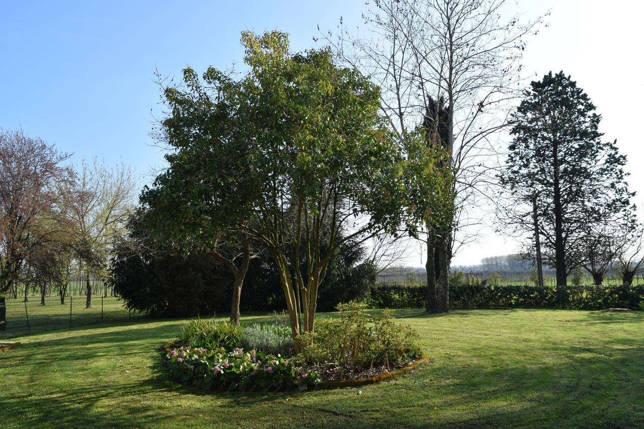 Al Vecchio Fienile Bed and Breakfast San Michele al Tagliamento Εξωτερικό φωτογραφία