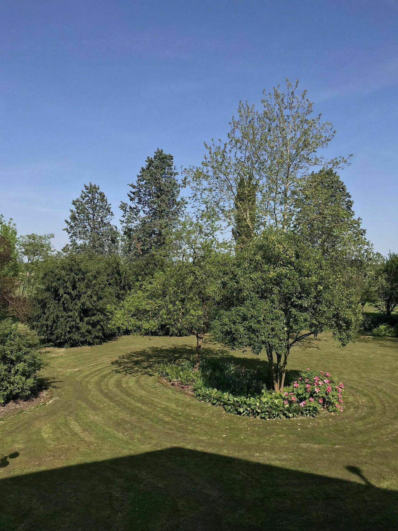 Al Vecchio Fienile Bed and Breakfast San Michele al Tagliamento Εξωτερικό φωτογραφία