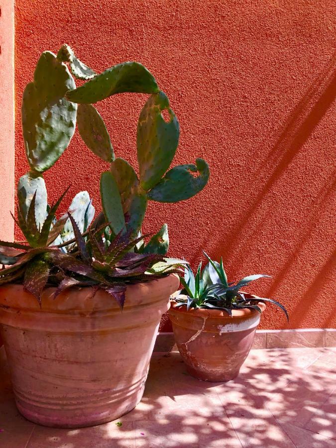 Al Vecchio Fienile Bed and Breakfast San Michele al Tagliamento Εξωτερικό φωτογραφία